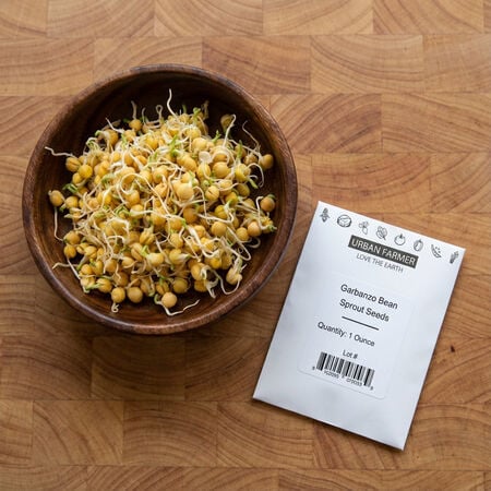 Garbanzo, Bean Seeds - Packet (1 oz.) image number null